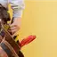 Handyman repair service in Tuscaloosa, AL for home fixes and improvements