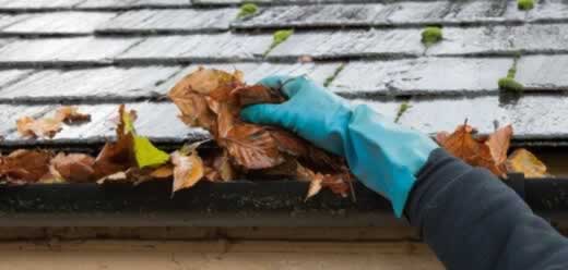 Gutter Cleaning